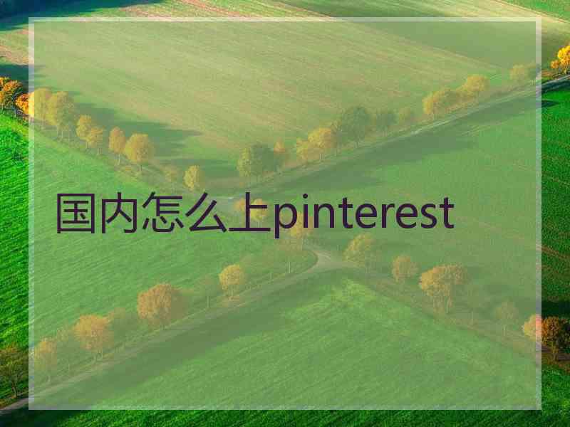 国内怎么上pinterest