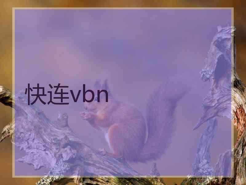 快连vbn